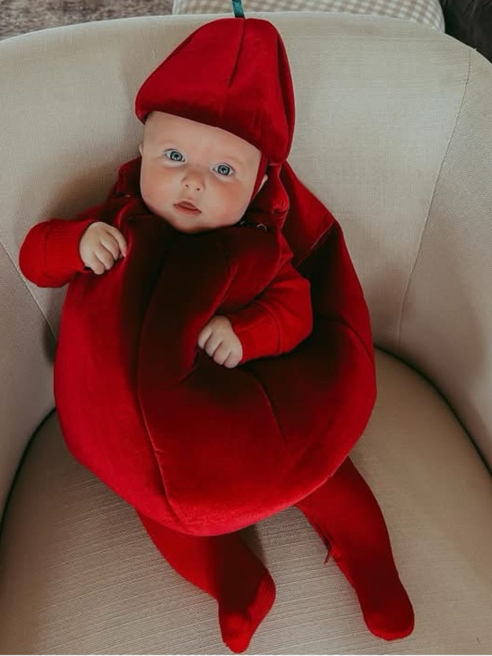 🍒Pottery Barn CHERRY costume
